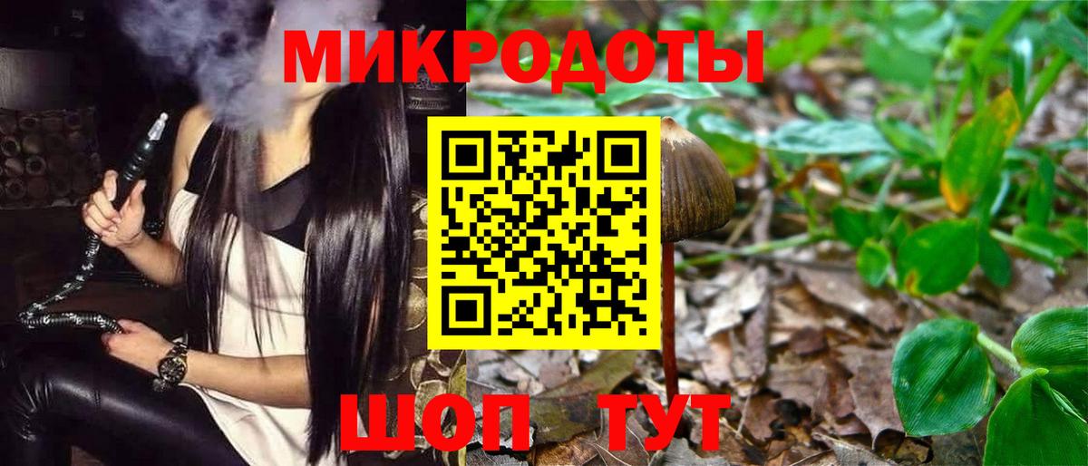 Псилоцибиновые грибы Cubensis Абакан