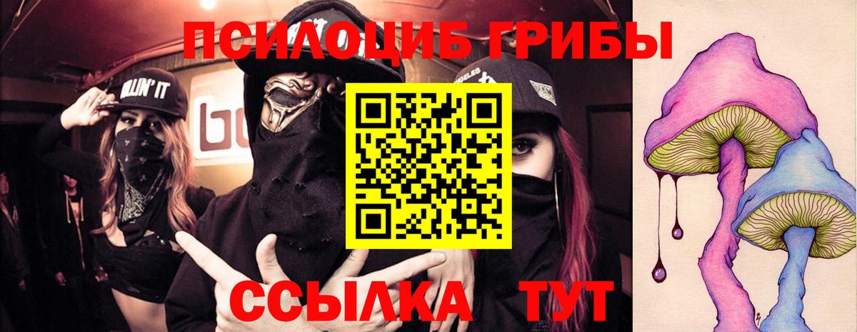 закладка  Псилоцибиновые грибы ЛСД  Вход с VPN  Абакан  Галлюциногенные грибы прущие грибы 
